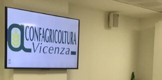 Ddl Tea, De Carlo: “Tempi brevi per l’approvazione”