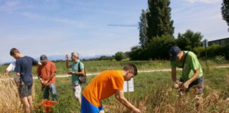 All’Istituto Stefani-Bentegodi di Buttapietra la festa della biodiversità