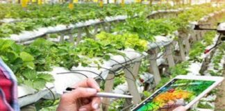 Ddl Tea, giovedì a Vicenza incontro con il senatore De Carlo