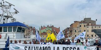 Oltre 360 Motopescherecci a rischio in Veneto Oltre pesca due normative europee