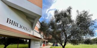 Festa d’estate e della musica alla Biblioteca Carpenedo Bissuola Biblioteca Carpenedo Bissuola