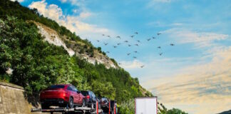 La veneta Karrycar premiata da Subito.it come migliore startup italiana