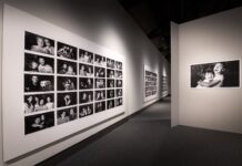 Torna la mostra #NOISIAMOTREVISO