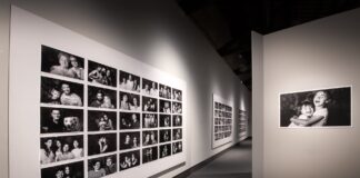 Torna la mostra #NOISIAMOTREVISO