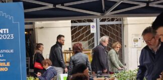 Lotta alle zanzare con pastiglie antilarvali lotta alle zanzare