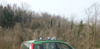 In sette senza targa a fare fuoristrada, multati in sette senza targa a fare fuoristrada