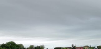 Scoperto e obbligato a pulire, ecovandalo nei guai Scoperto ecovandalo