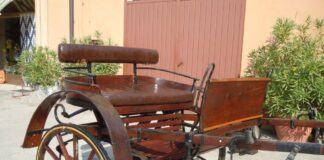 Auto impatta contro calesse, in ospedale cocchiere e passeggero