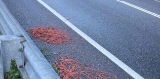 Centauro morto a Roncade, individuato il presunto responsabile