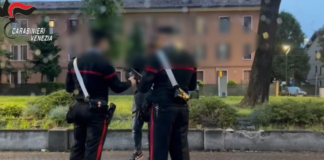 Raid anti droga dei Carabinieri in varie province