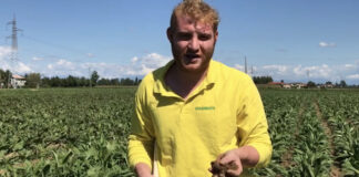 Davide Montino confermato alla guida di Agrimercato Venezia Davide Montino, Presidente di Agrimercato Venezia