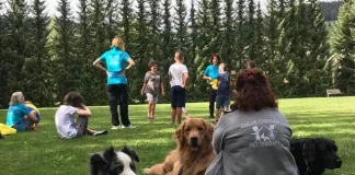 Summer Pet Therapy, i cani aiutano i bambini con disabilità