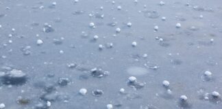 Avversità climatiche, contributi assicurativi in ritardo di mesi