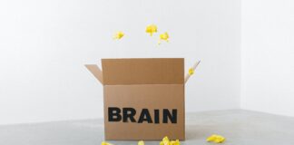 Memoria: il training quotidiano