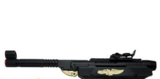 Spararono con la pistola a pallini contro la prof, promossi i due studenti