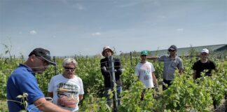 Colpo di calore nei campi: borracce alle aziende e orari modificati