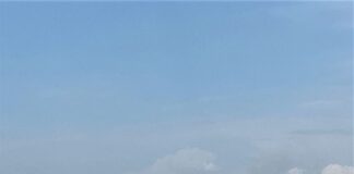 Frumento, la siccità invernale porta a un calo dei raccolti