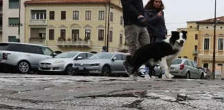 Rifacimento del porfido di Corso del Popolo, da lunedì lavori fino a metà settembre