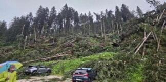 Bufera su Dolomiti: Zaia firma stato di emergenza stato