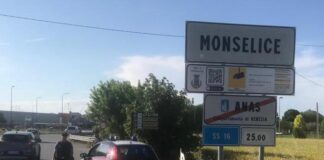 Il cane ZICO scova droga e sostanze tossiche Il cane ZICO scova droga e sostanze tossiche