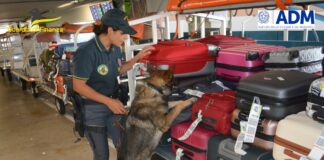 Intercettati 565mila euro in contanti. 33 persone segnalate dogana