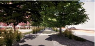 Piazza Savelli: inizia la depavimentazione