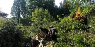 Temporale della scorsa notte a Padova, in città solo danni marginali micalizzi vicesindaco