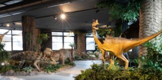 Il JMuseo di Jesolo è aperto Il JMuseo di Jesolo