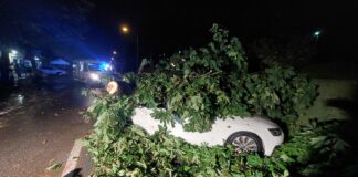 Nubifragio e grandinate sulla Marca, nuove foto dalla Protezione Civile