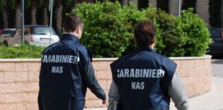 NAS: controlli su terme, una denuncia e varie sanzioni. denunce sanzioni controlli NAS