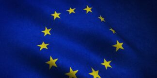 Utero in affitto come reato universale: se ne parla in Parlamento Europeo