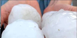 Marca flagellata da maltempo, molti danni grandine uova Marca