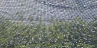 Maltempo, danni e feriti. Zaia: Indennizzi per i veneti Indennizzi per i veneti