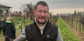 Un’azienda trevigiana su due accusa danni da maltempo