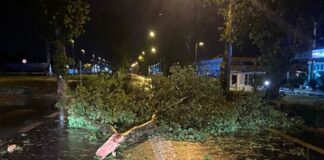 Maltempo, ecco le info per inviare la relazione dei danni subiti