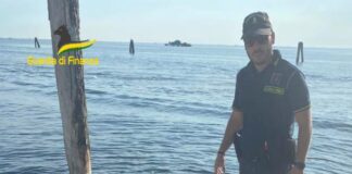 Pesca abusiva in Laguna, sequestrate oltre 3 tonnellate di molluschi I controlli della GdF sulla pesca abusiva in Laguna di Chioggia