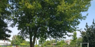 Casier si dota di nuove attrezzature ludiche per i suoi parchi urbani