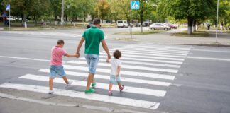 Investimenti sulle strisce, Zaia lancia una campagna per la sicurezza