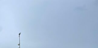 A Jesolo una tromba d’aria devasta lo stabilimento balneare Riviera Levante Le conseguenze del passaggio della tromba d'aria sullo stabilimento Levante a Jesolo