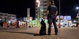 Alcol a minori, sanzioni e denuncia per un locale di Jesolo I controlli della Polizia Locale di Jesolo sulla "movida"