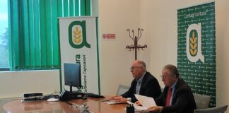 Agricoltura, Verona e il Veneto locomotive d’Italia