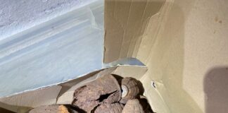 Trova bombe della Grande Guerra mentre lavora in garage Le Bombe sequestrate dalla Polizia di Stato