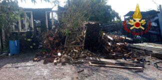 Campolongo Maggiore, a fuoco un deposito attrezzi e legnaia Campolongo Maggiore, il deposito attrezzi e legnaia andato a fuoco
