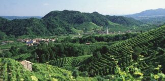 Cammino Colline del Prosecco, Zaia “Il futuro è alle porte”