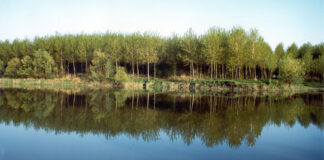 Rinaturazione del Po, bene la sospensiva del progetto