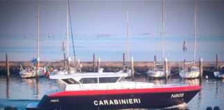Chioggia, i Carabinieri sequestrano una tonnellata di vongole Carabinieri di Chioggia