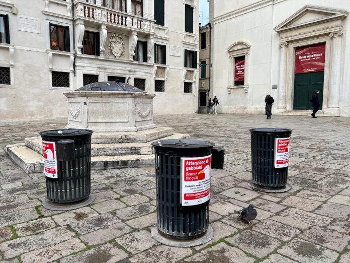 Gabbiani, i volantini affissi a Venezia
