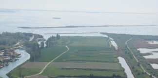 Fusina, terreni agricoli contaminati da metalli pesanti: maximulta Fusina, i terreni agricoli contaminati da metalli pesanti