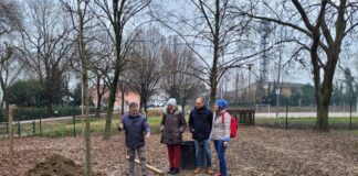 Casier accoglie due nuove querce nel suo patrimonio verde