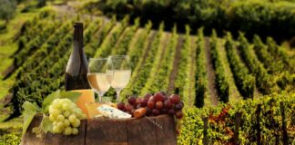 Cibo e vino, Treviso provincia italiana nr. 1 nella classifica della Dop economy